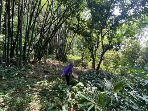 Níu “sợi dây” của đất trời